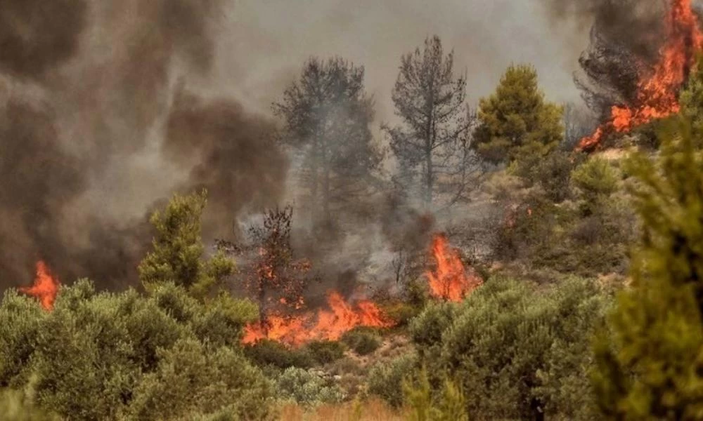 Μαγνησία: Φωτιά στην περιοχή Περίβλεπτο- Μάχη με τις φλόγες